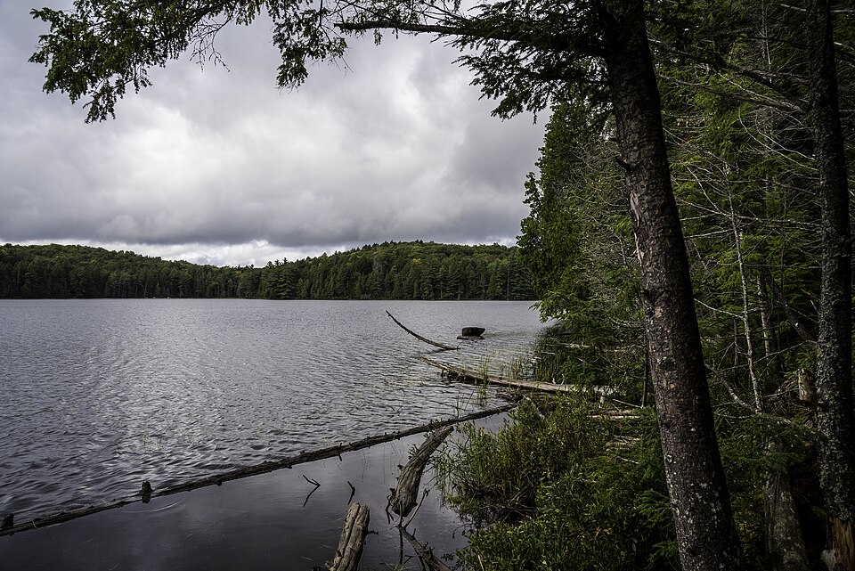 Algonquin Park